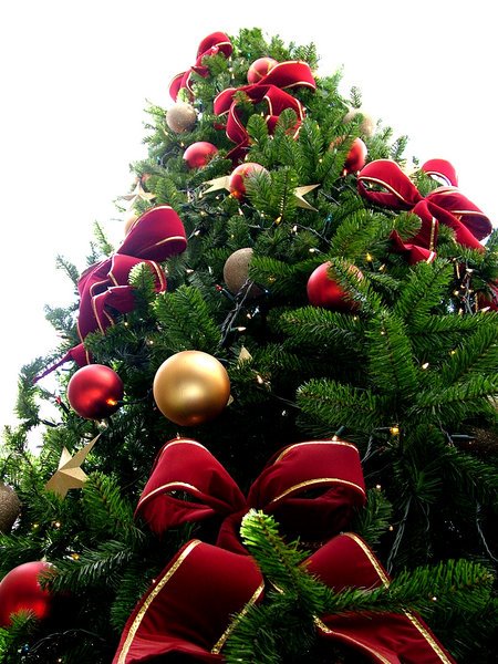 [natal[1].jpg]