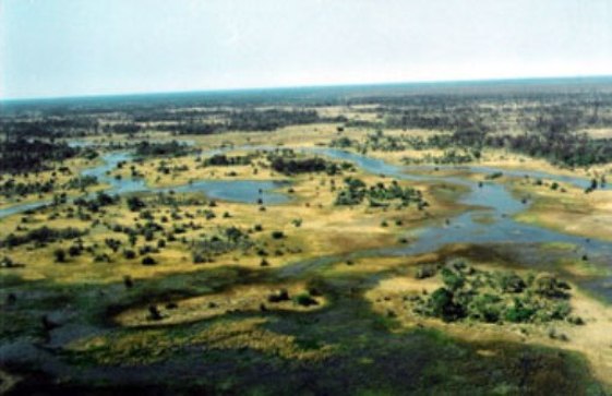 [okavango3.jpg]