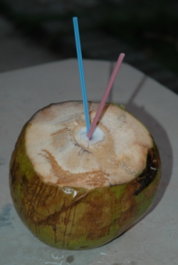 [cocco.jpg]