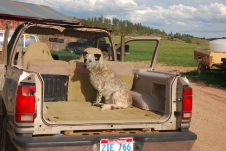 [Pepper+braving+driving+lessons.JPG]