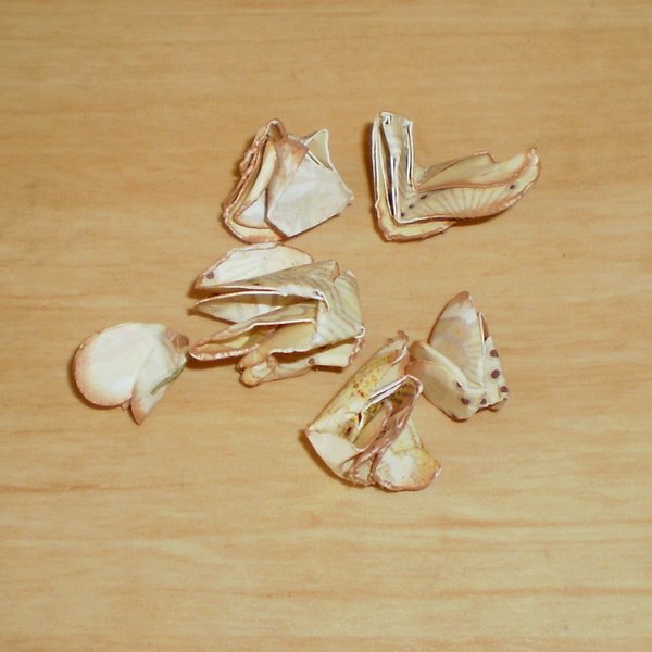 Beccy's Place Technique Class Open Roses