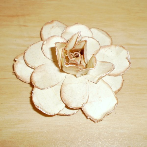 Beccy's Place Technique Class Open Roses