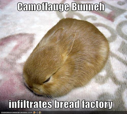 [funny-pictures-bread-camoflauge-bunny.jpg]