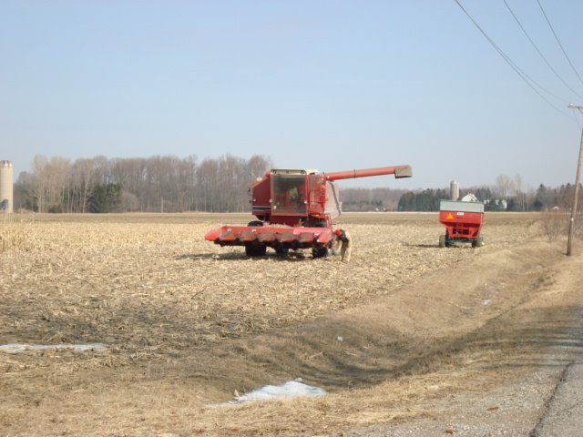 [DSC00079.JPG]