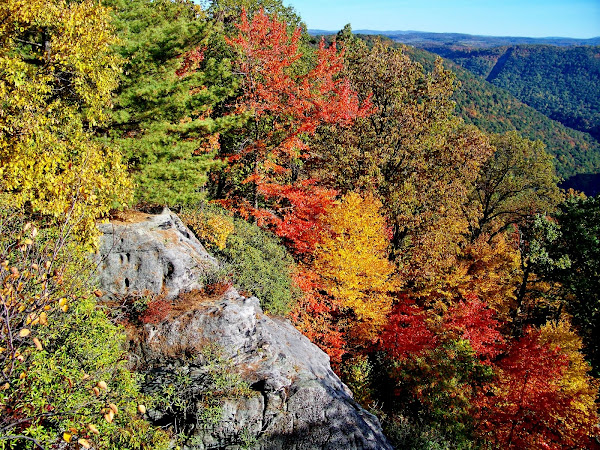 Coopers Rock, West Virginia