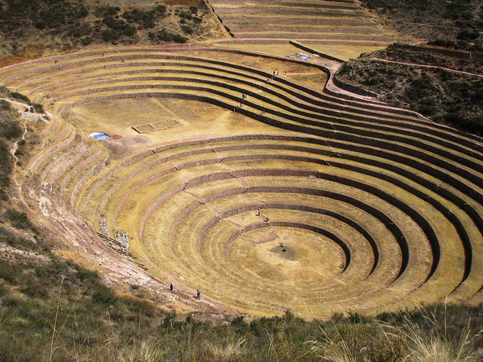 Inca Crops
