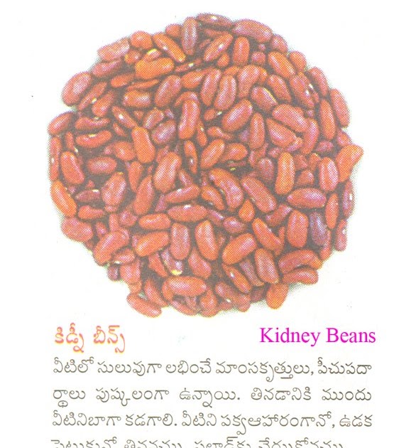 ఆహారము ఆరోగ్యము , Food & Health (Telugu) చిక్కుడు , Beans