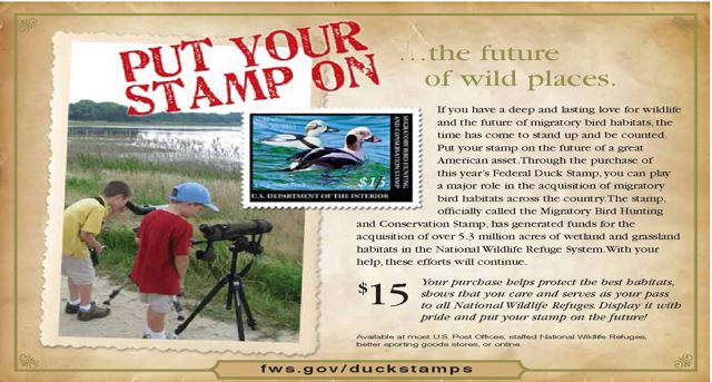 [Stamp+PSA+Youth+.jpg]