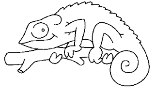 cobras e camaleão desenhos para colorir