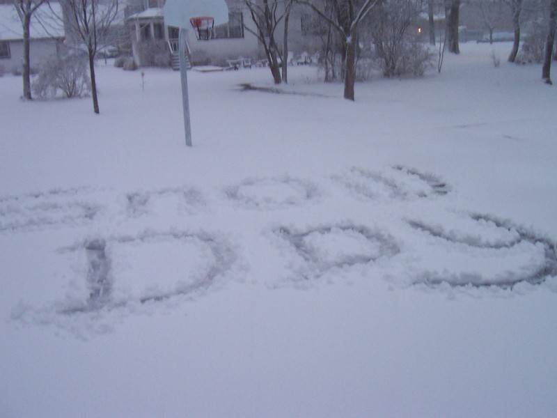 [SnowDay.jpg]