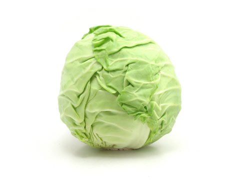 [cabbage3-clean-lg.jpg]