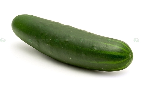 [cucumber.jpg]