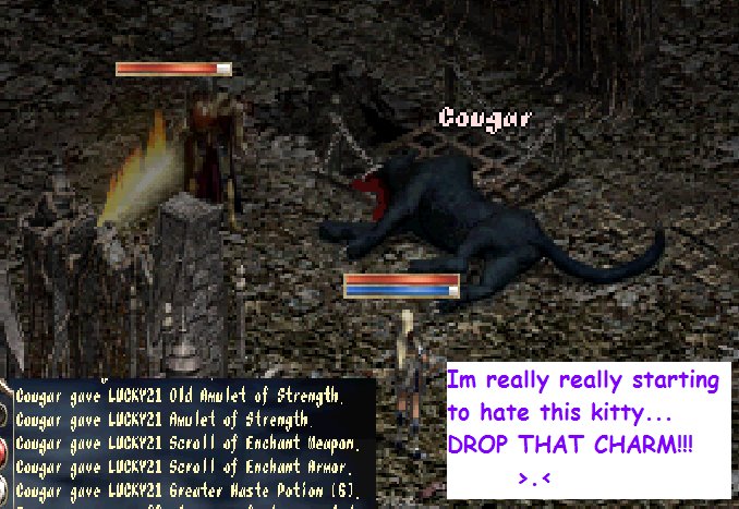 [kittyhate.bmp]