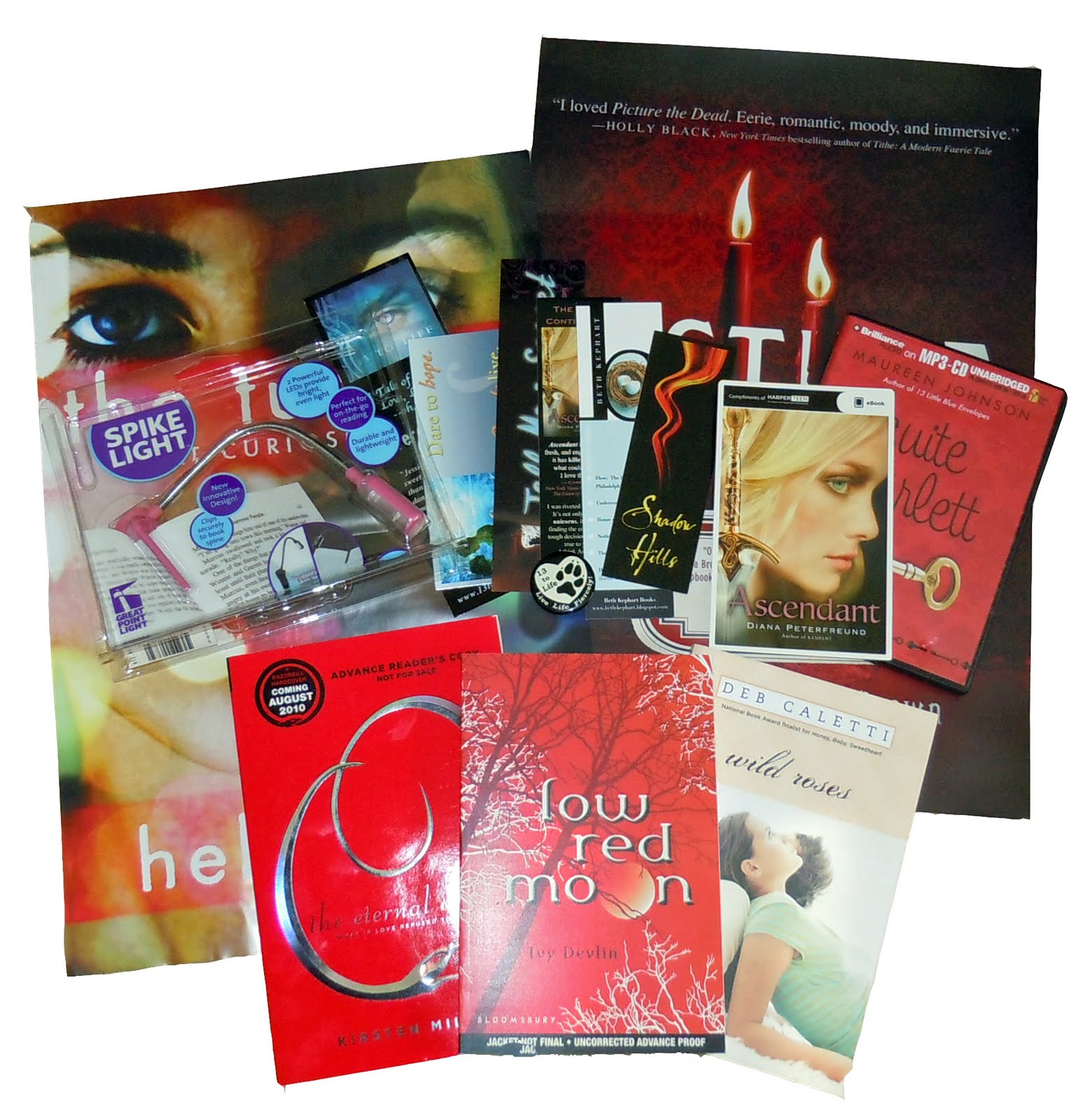 Giveaway: BEA Prize Packs