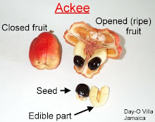 An Ackee