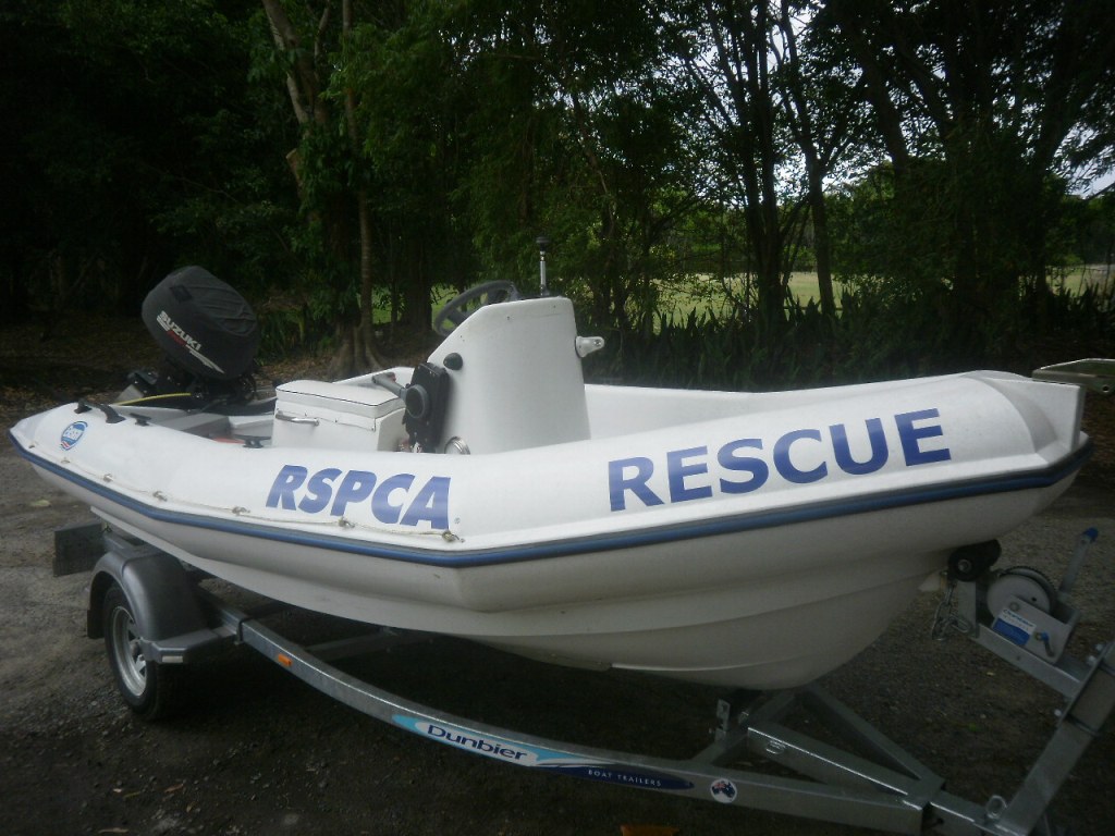 Rspca Shelter