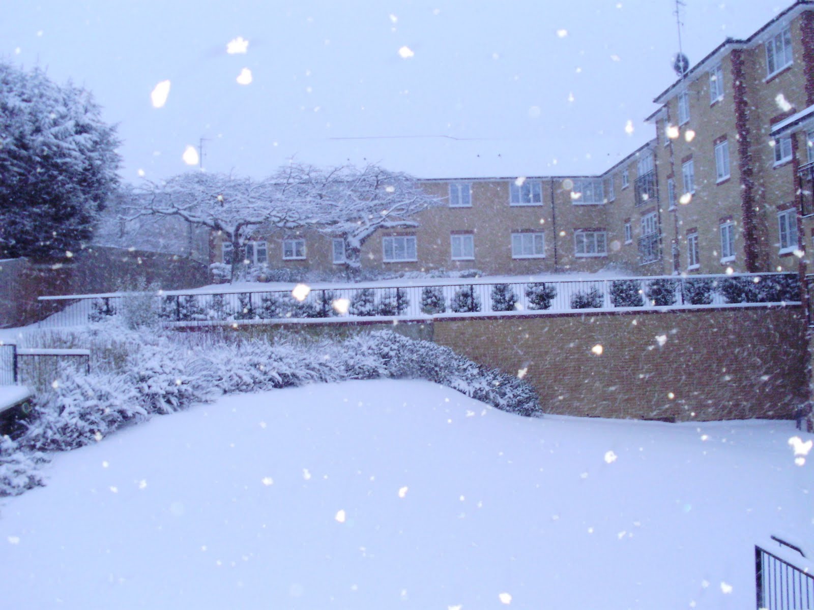 [snowfall+london2009+001.JPG]