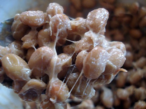 [natto-fermented-soybeans-480x360.jpg]