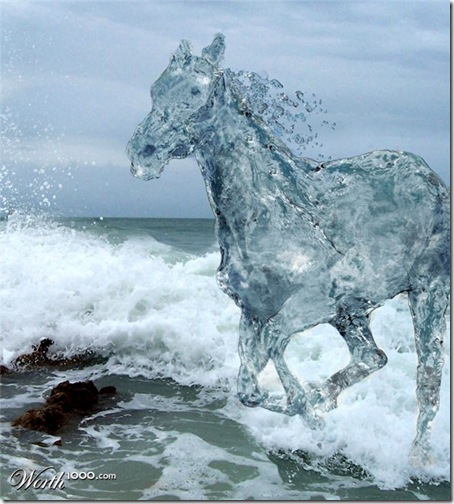 [transparenthorse-thumb.jpg]