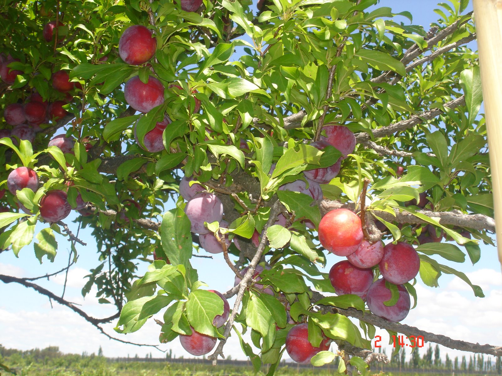 What to grab when you are hungry! Matching Game 2 SpanishDict Answers