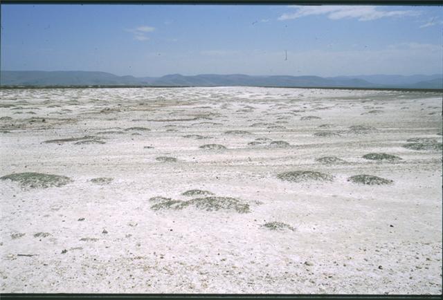 [EREGLİ+‡–L+OLMUž.jpg]