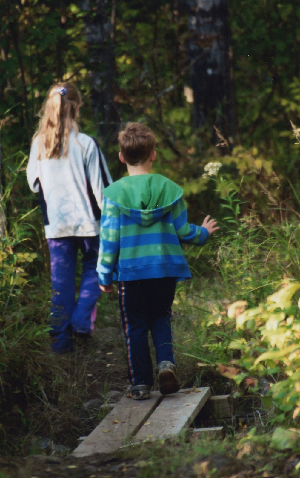 [woods004.jpg]