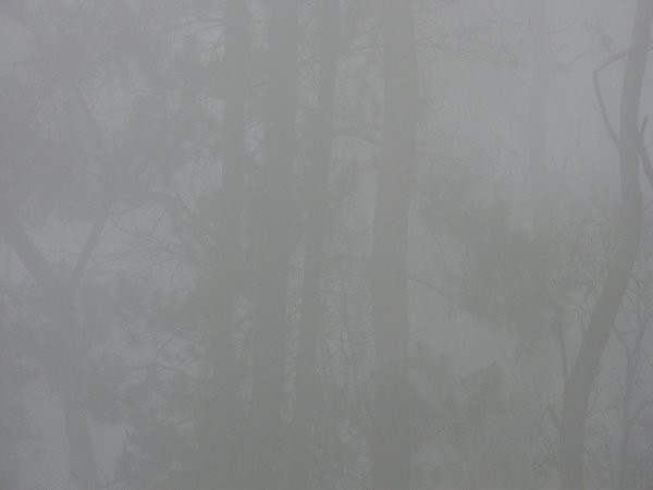 [fog.bmp]