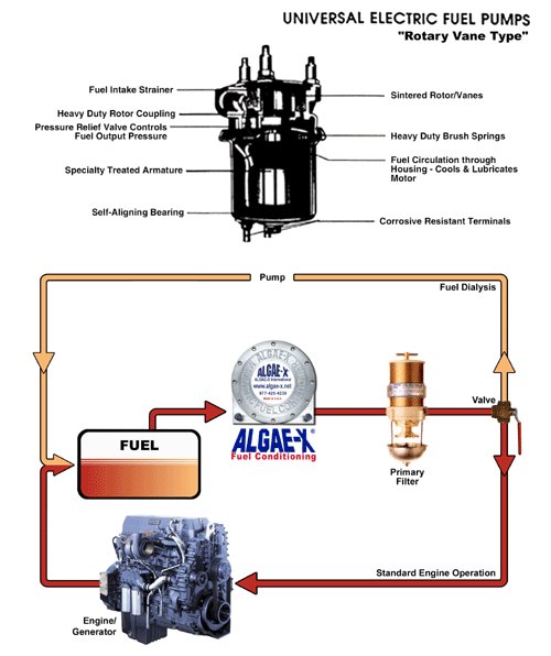 [fuel+pump.bmp]