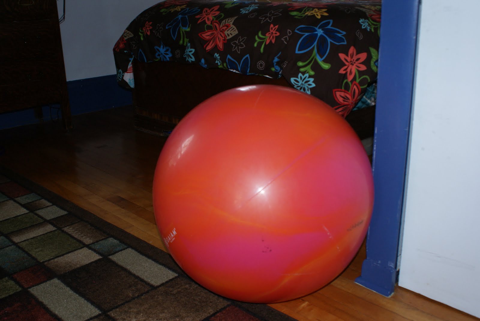 [DSC04138.JPG]