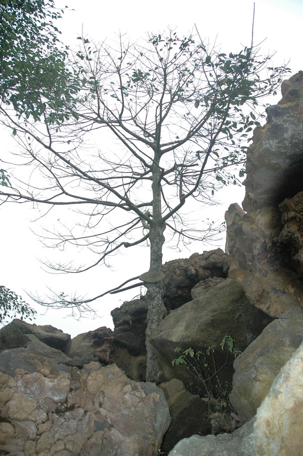 [2008-海南+010_缩小大小.jpg]