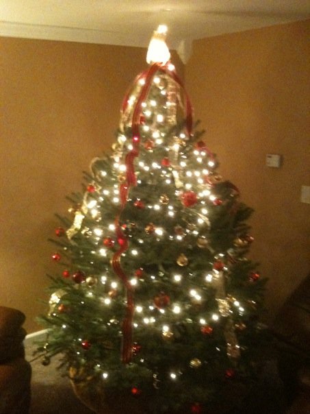 [Lit+Tree.jpg]