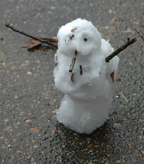 [southern+snowman.JPG]