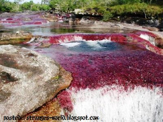 Most Beautiful River In Columbia 