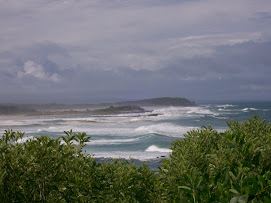 View north from Iluka Bluff