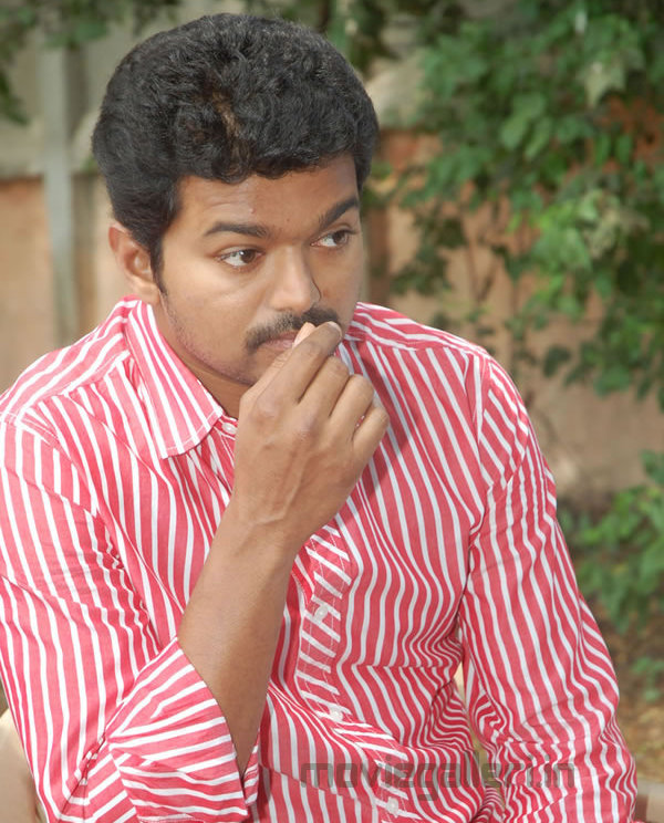 Cute Vijay Photos