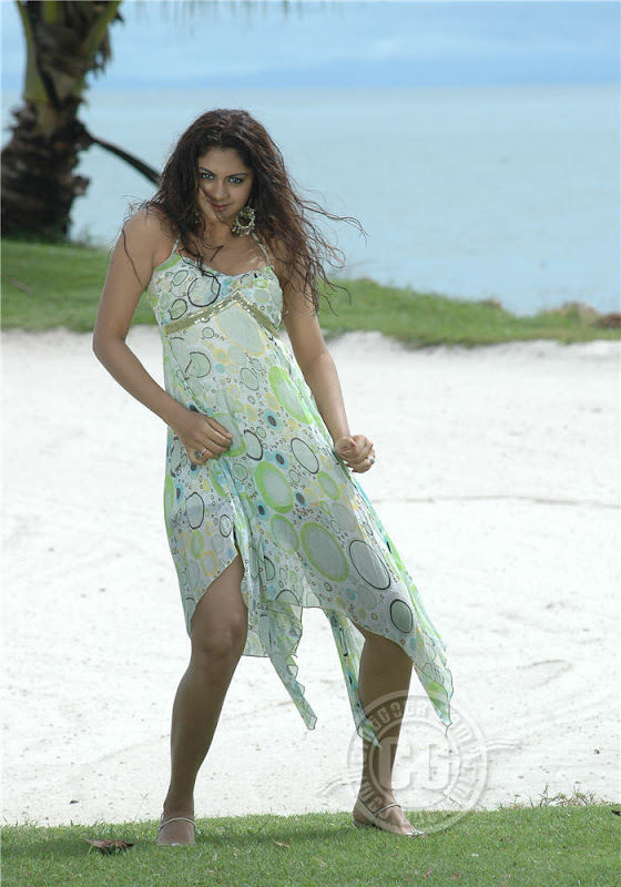 Kamna Jethmalini Hot Photos stills Kamna Jethmalini Hot Photos stills