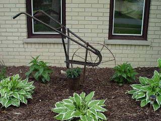 Sweetpeas Primitives: Some Outdoor Garden Picks