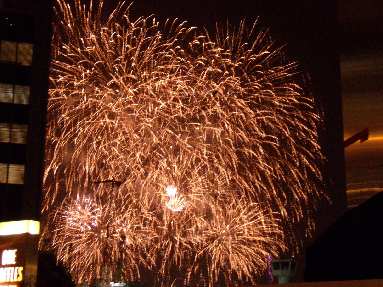 [NDP+fireworks+7.jpg]