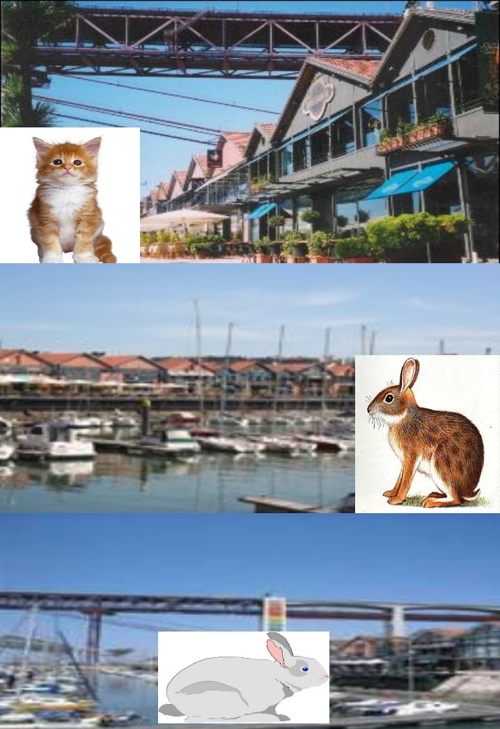 [cais2.jpg]