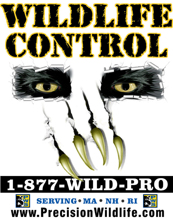 Precision Wildlife Services Precision Wildlife