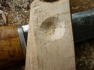spoon carving first steps
