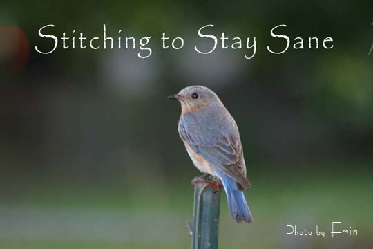 Stitching to Stay Sane