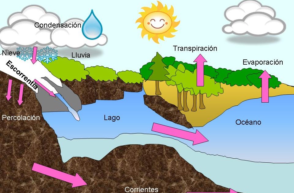 Ciclos de la Naturaleza: CICLO DEL AGUA