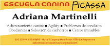 Escuela Canina