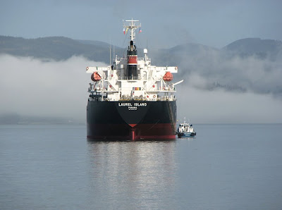 Ships on the Columbia River at Astoria, Oregon