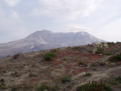 Mt. St. Helens