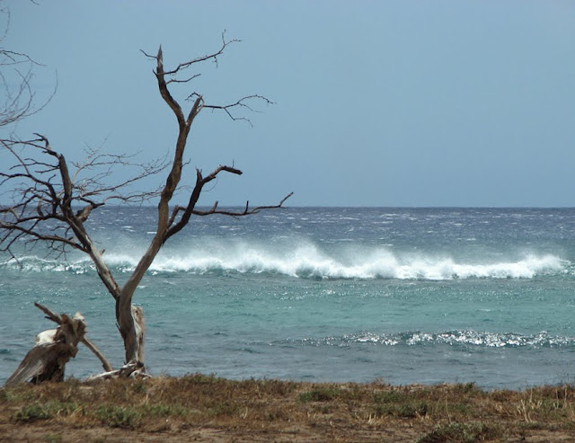 Wind and waves on a desert-like Maui beach