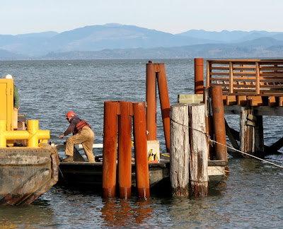 Pilings at the Pilot Boat Dock