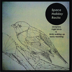 Space Holiday Rocks - Sleepless night birds & birds waking up early morning