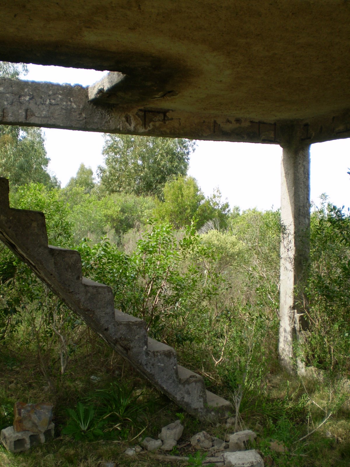 [P9010065.JPG]